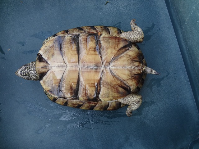 施工2