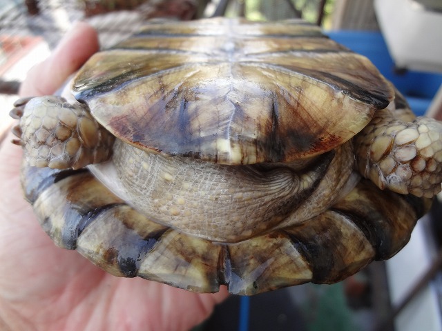 施工3