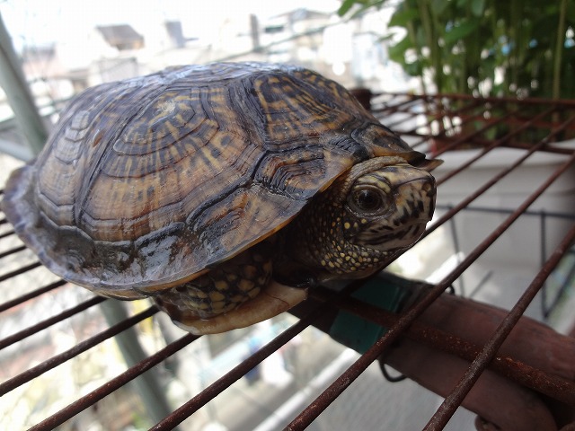 施工4